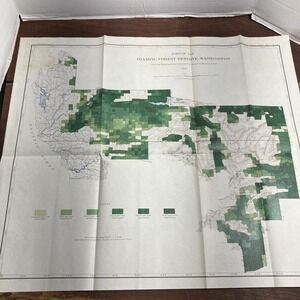 Vintage 1899 Olympic Forest Reserve Map Washington Red Fir Proportion USGS Litho